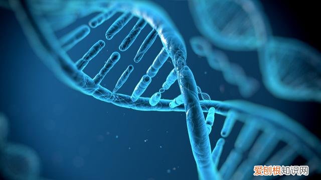 被网暴的MU5735退票乘客发声