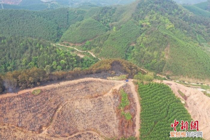 MU5735搜寻72小时全记录