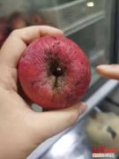 网曝幼儿园厨房果蔬变质 官方：已连夜核查并采取措施