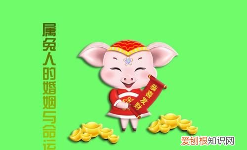 属鼠男和属猪女的婚姻相配,属鼠男与属猪女婚配解释是什么