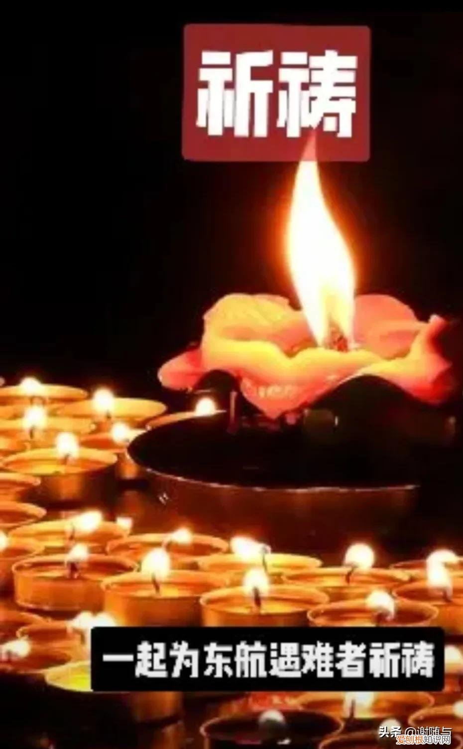 坠机现场看到:蝴蝶结和机组工作日志,愿逝者安息