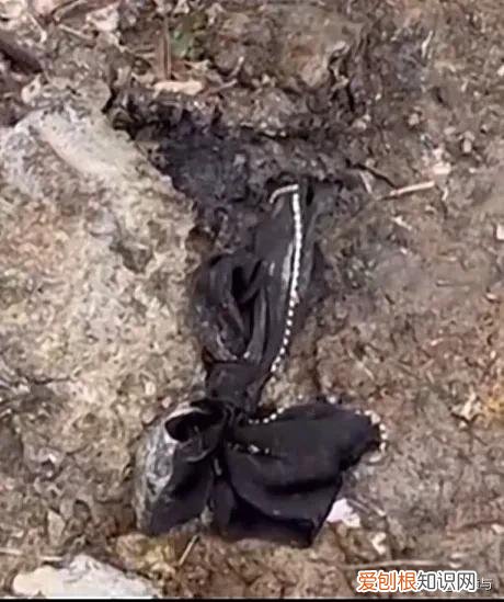 坠机现场看到:蝴蝶结和机组工作日志,愿逝者安息