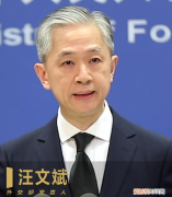 汪文斌回应戴黑色领带有什么意义