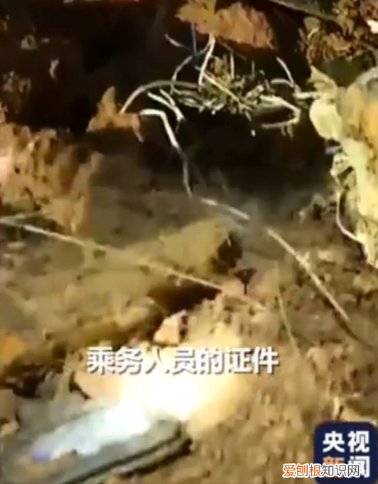 记者捂住乘务人员证件：不要给特写，希望它们的主人还能平安