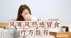 针对风寒风热感冒,推荐几个好用的食疗方法
