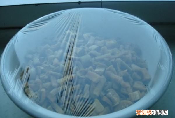 脆爽腌萝卜的做法，萝卜条的腌制方法大全 脆爽