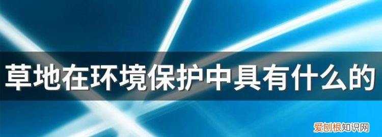 草地在环境保护中具有什么的重要作用