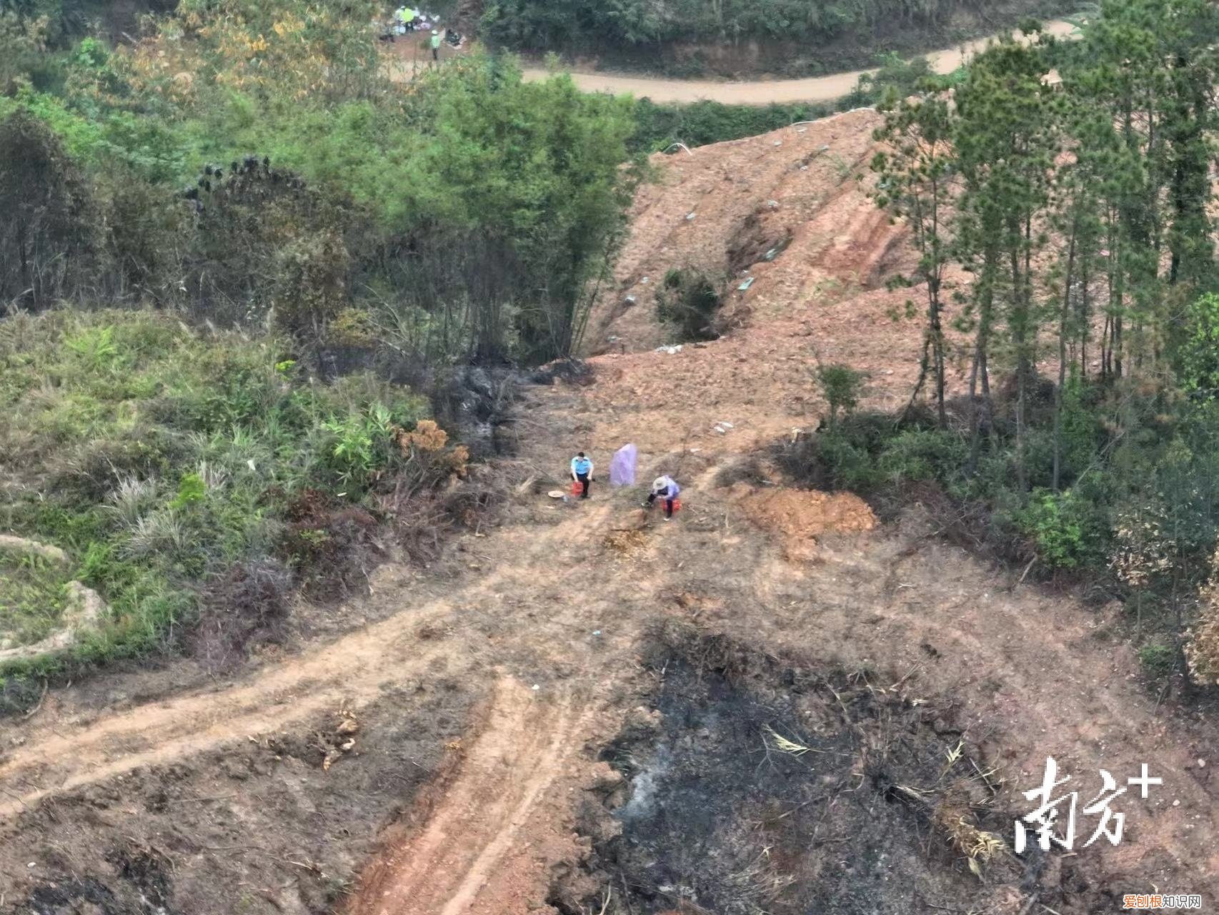 彻夜搜救！东航坠机现场发现更多飞机残骸，尚未发现机上失联人员
