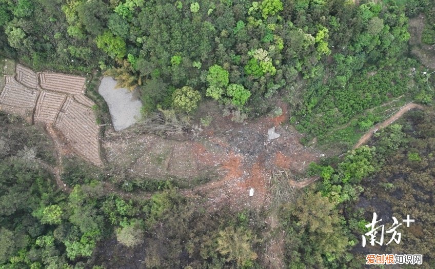 彻夜搜救！东航坠机现场发现更多飞机残骸，尚未发现机上失联人员