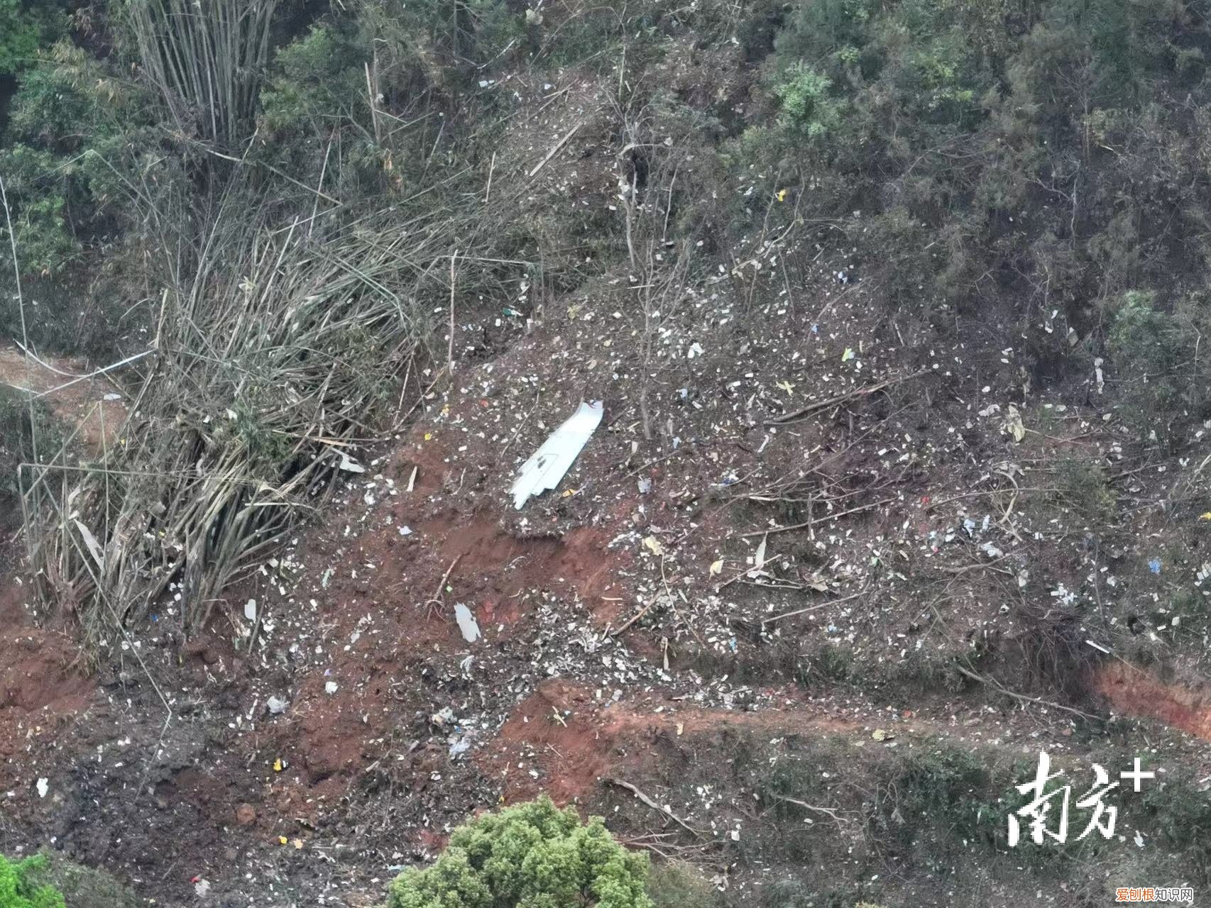 彻夜搜救！东航坠机现场发现更多飞机残骸，尚未发现机上失联人员