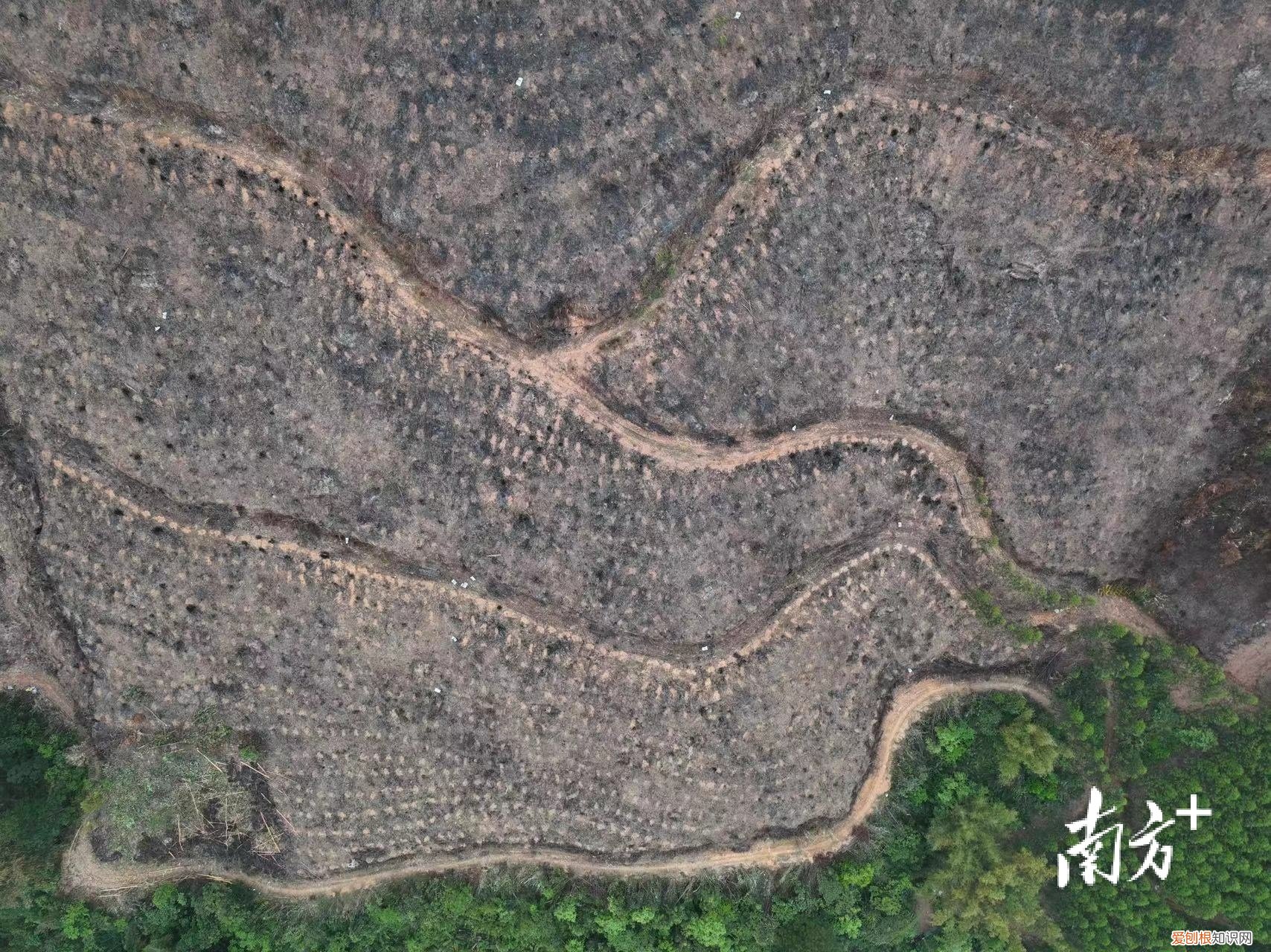 彻夜搜救！东航坠机现场发现更多飞机残骸，尚未发现机上失联人员