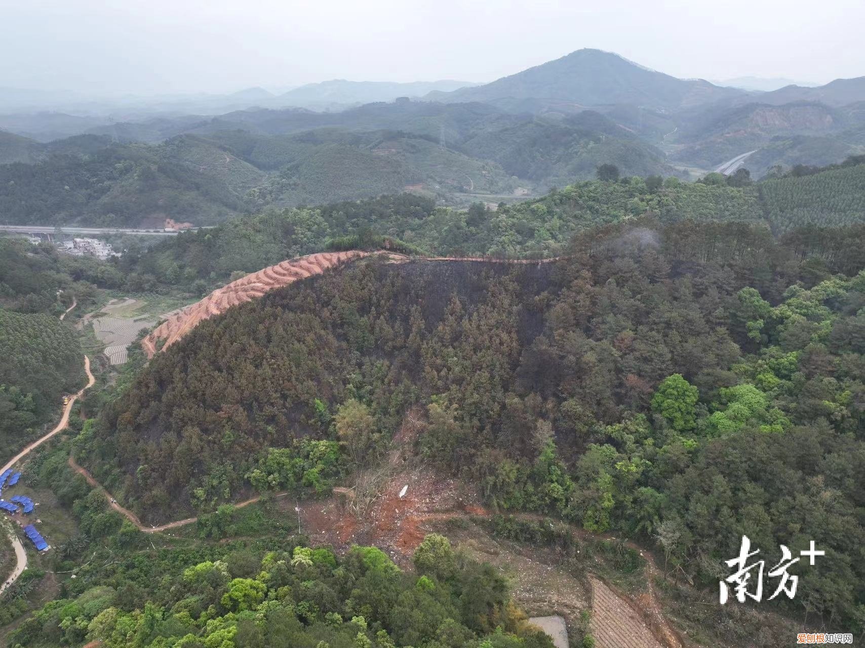 彻夜搜救！东航坠机现场发现更多飞机残骸，尚未发现机上失联人员