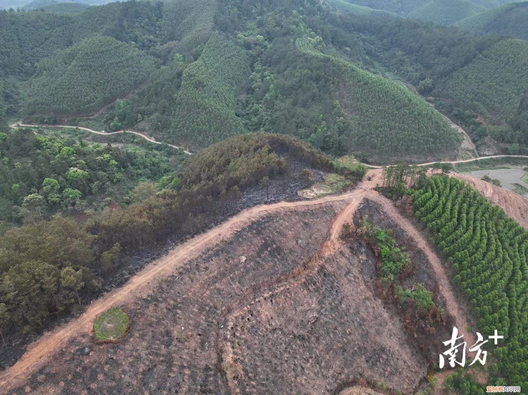 彻夜搜救！东航坠机现场发现更多飞机残骸，尚未发现机上失联人员