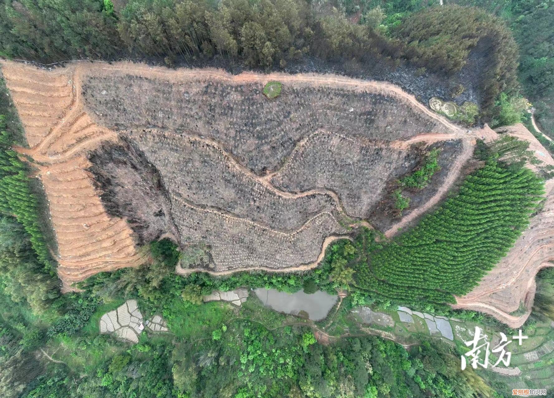 彻夜搜救！东航坠机现场发现更多飞机残骸，尚未发现机上失联人员