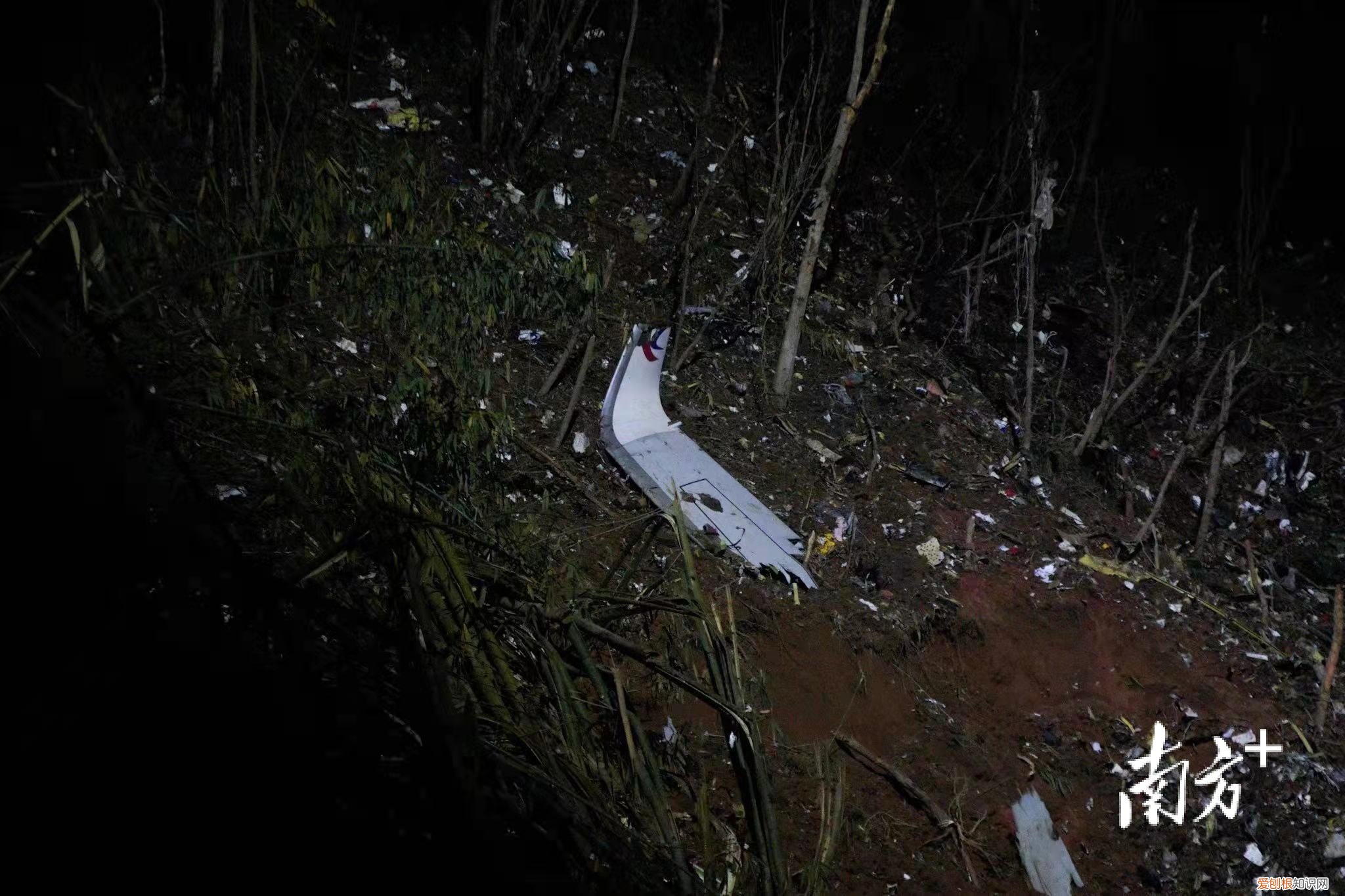 彻夜搜救！东航坠机现场发现更多飞机残骸，尚未发现机上失联人员