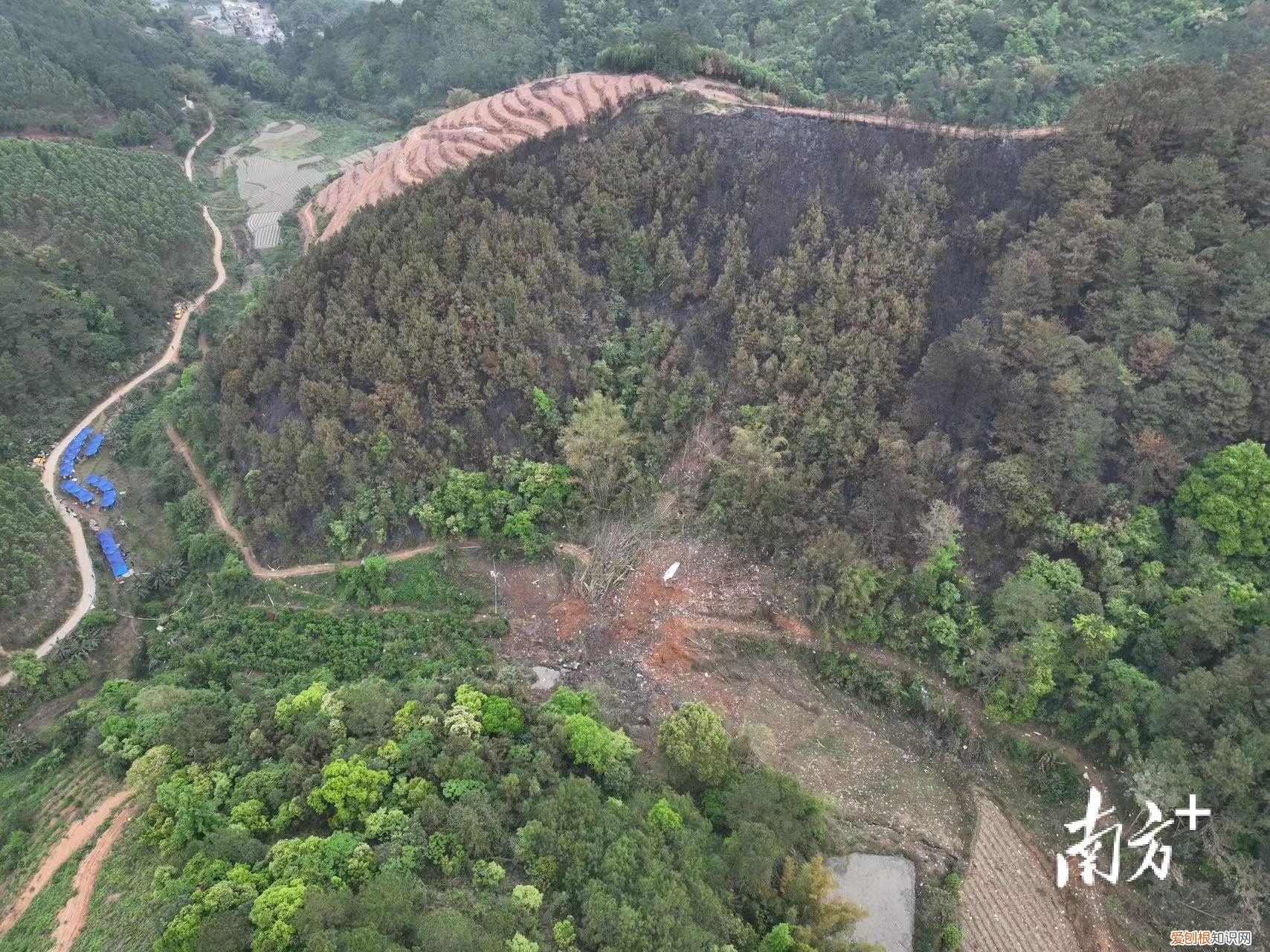 彻夜搜救！东航坠机现场发现更多飞机残骸，尚未发现机上失联人员