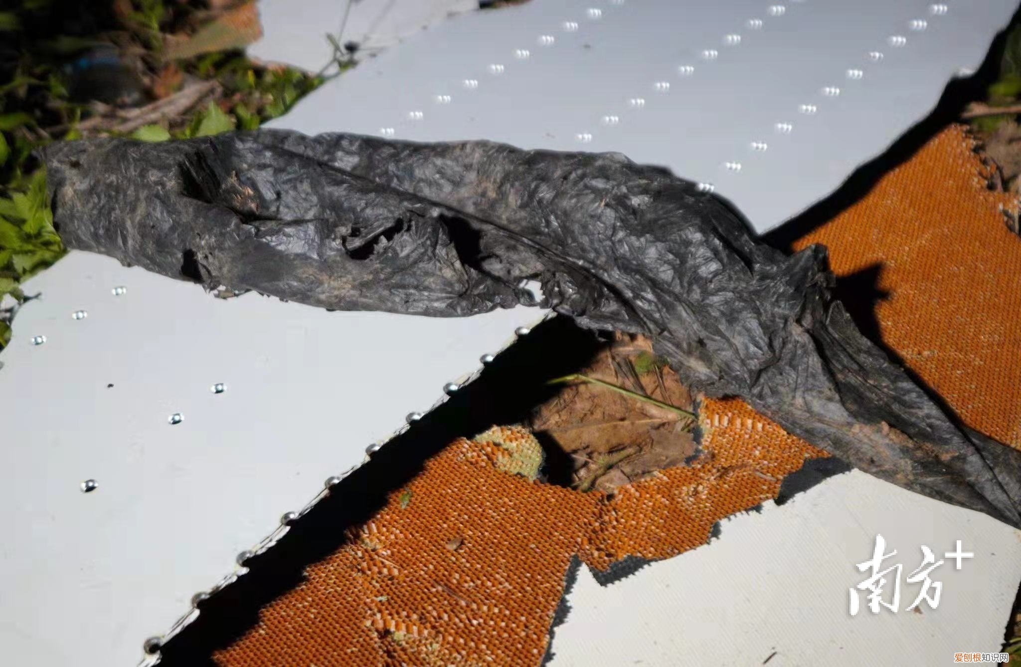 彻夜搜救！东航坠机现场发现更多飞机残骸，尚未发现机上失联人员