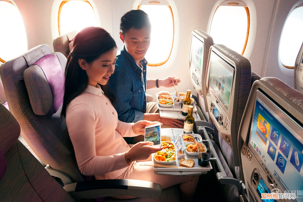 飞机哪个位置最好