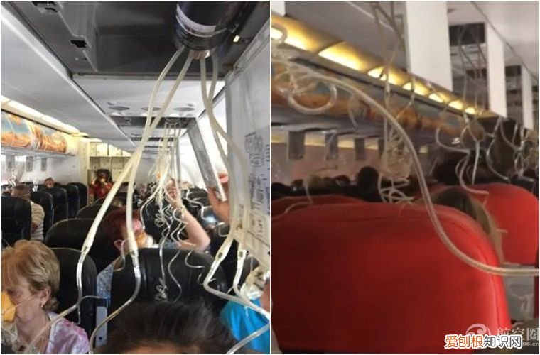 飞机哪个位置最好