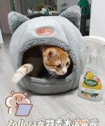 猫咪死活不进猫窝，猫不肯进猫包怎么办