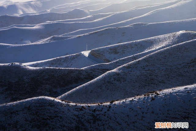 索尼FE 35mm F1.4 GM怎么样