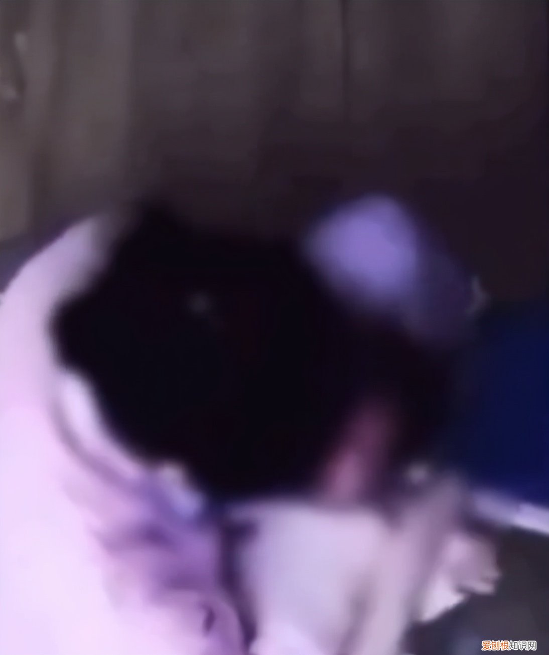 被育婴师虐待婴儿身上做了2个支架,月子中心还靠谱么!