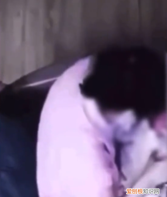 被育婴师虐待婴儿身上做了2个支架,月子中心还靠谱么!