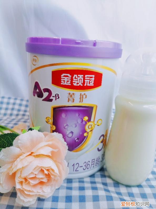 什么奶粉比较好