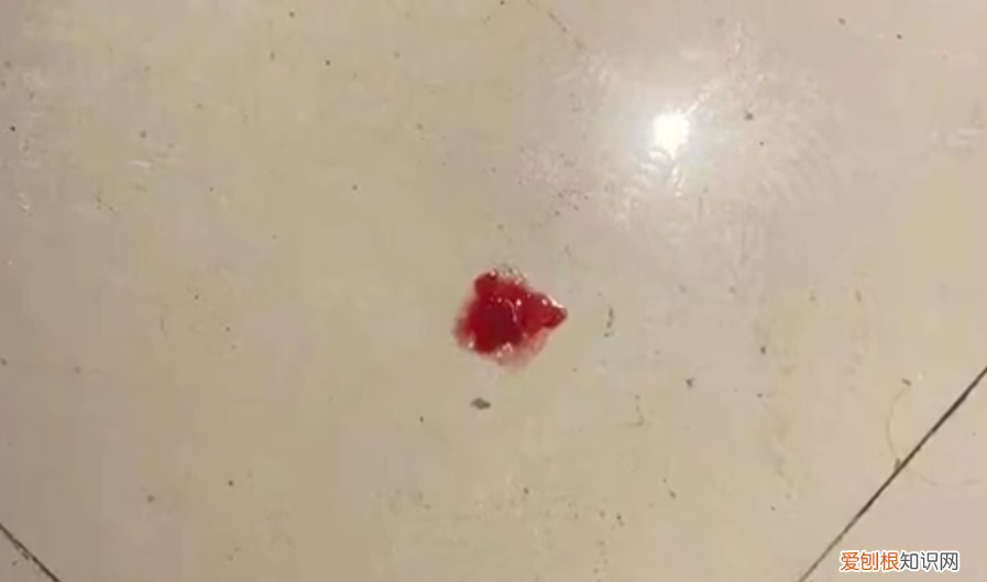 大学生工厂实习请假三次遭拒后死亡