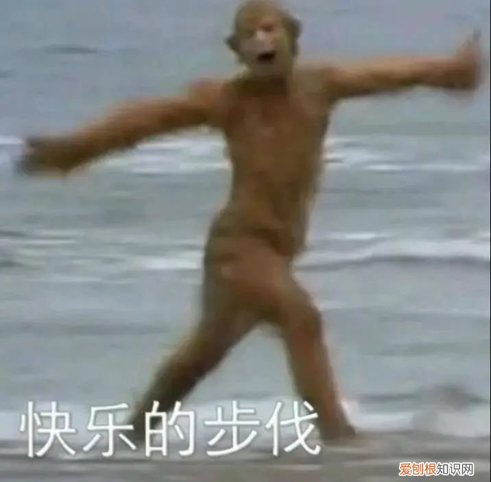 扒了 160 瓶超市洗发水,我们推荐这 8 瓶好用的