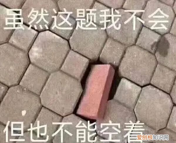 扒了 160 瓶超市洗发水,我们推荐这 8 瓶好用的