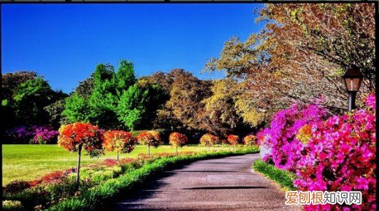 小米电视 6 OLED 评测:年轻人的第一台 OLED 电视