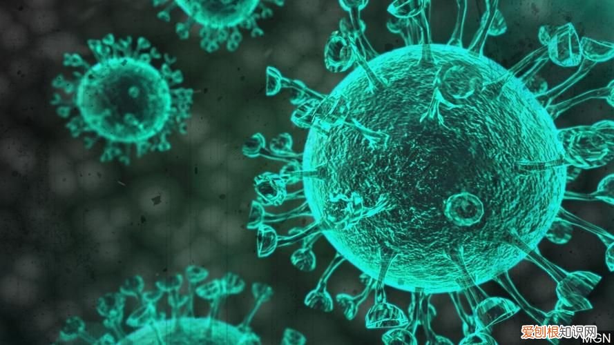 专家：奥密克戎比流感的症状还轻