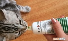 猫化毛膏吃多了怎么办，猫咪化毛膏吃多了怎么办?
