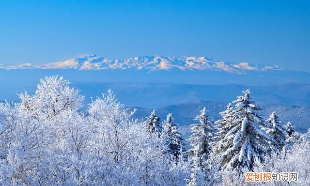 三维地图带你看神秘的长白山,长白山山势图