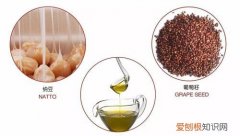 植物甾醇是什么，植物甾醇什么牌子最好