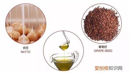 植物甾醇是什么,植物甾醇什么牌子最好