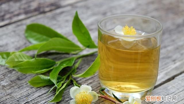 绿茶可以燃烧脂肪吗