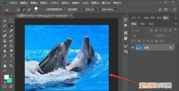 PS选区要如何复制，photoshop里面复制选区命令是什么