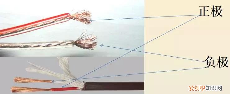 音箱连接线怎么接