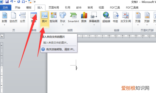 pdf咋的才能插入
