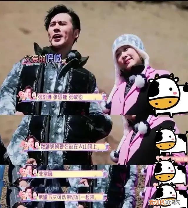 张伦硕的婚史钟丽缇