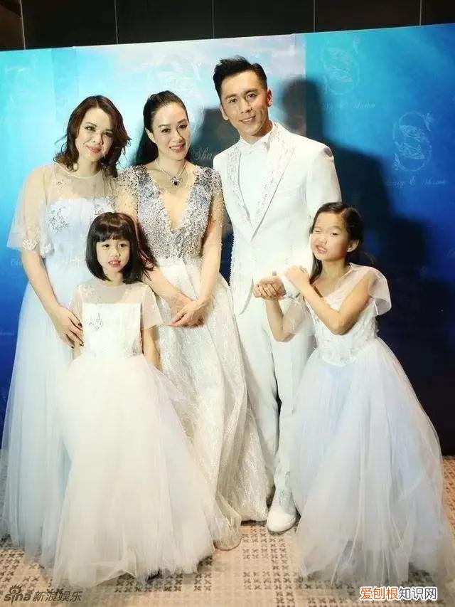 张伦硕的婚史钟丽缇