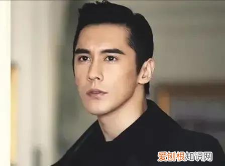 张伦硕的婚史钟丽缇