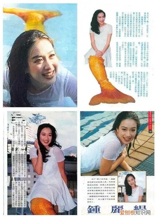 张伦硕的婚史钟丽缇