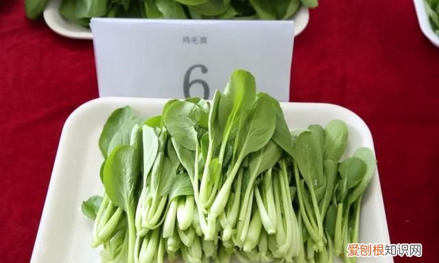 绿叶菜都有哪些呢 各种绿叶菜可以一起炒吗