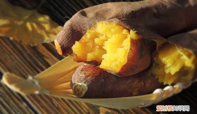 红薯是淀粉类，烤红薯是高淀粉食物吗