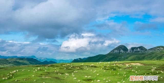 贵州阿西里大草原旅游攻略 贵州阿西里西大草原几月去最美