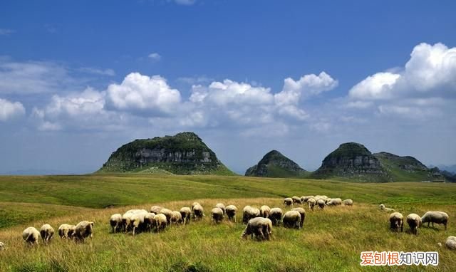 贵州阿西里大草原旅游攻略 贵州阿西里西大草原几月去最美