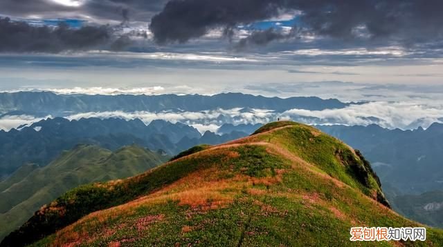 贵州阿西里大草原旅游攻略 贵州阿西里西大草原几月去最美